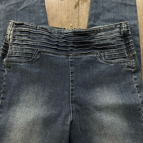 Jennifer Hudson Jeans - Picture 4 of 12